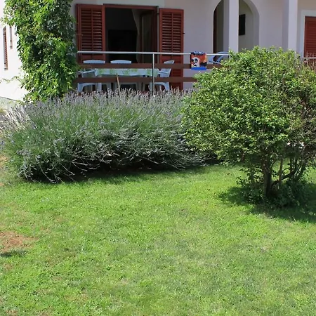 Kraj 8247c *
